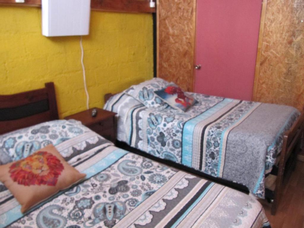 Hospedaje Los Cipreses Coyhaique Zewnętrze zdjęcie